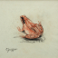 Gaston SUISSE (1896-1988) - Grenouille rousse.